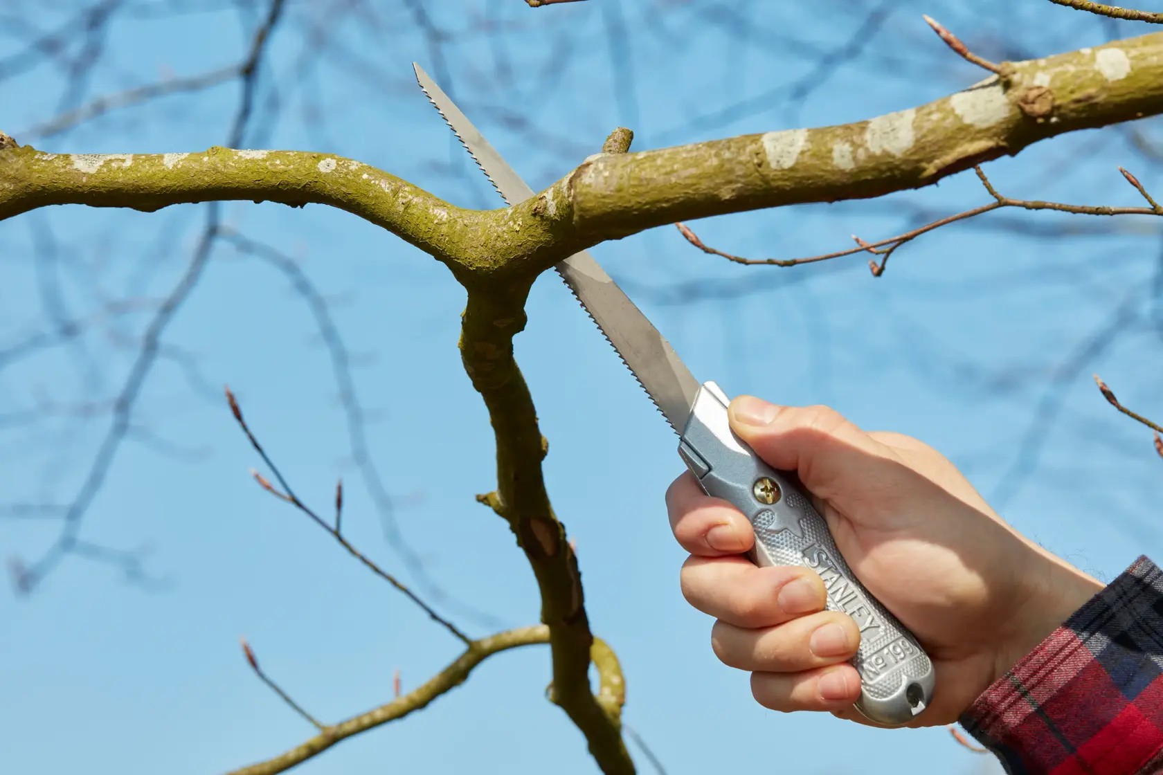 Stanley 0-10-129 folding saw cutting tree branch outdoors, silver handle, product photography.
